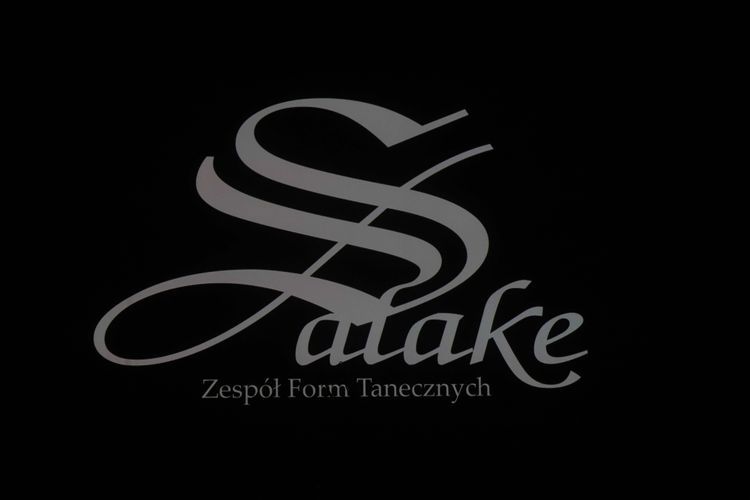33. urodziny Salake! Roztańczony koncert w Teatrze Ziemi Rybnickiej, Piotr Bukartyk/TZR
